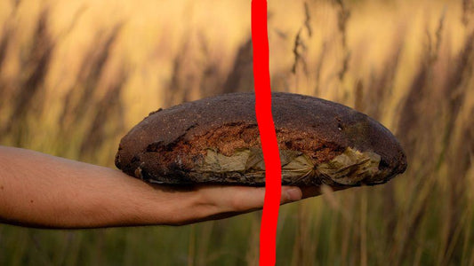 Rupjmaize(puse kukuļa)